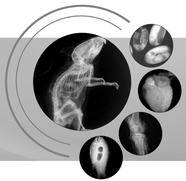 生命科學(xué)研究、小動(dòng)物、種子檢測(cè)